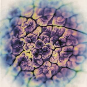 Automatisme Psychique