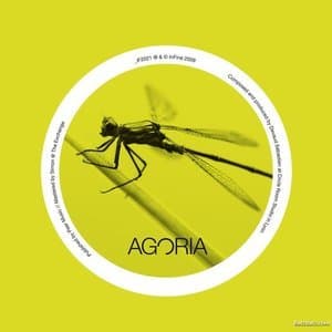 Magnolia / Libellules (IF2021)- WEB [webs]