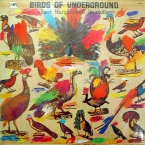Birds Of Underground