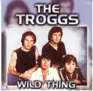 Wild Thing - The Troggs