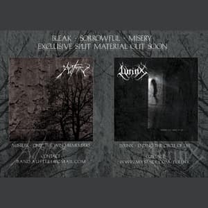 Austere & Lyrinx - Split 2008
