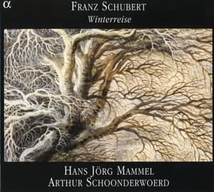 Franz Schubert - Winterreise