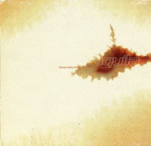 Observations On The Loss Of Culture