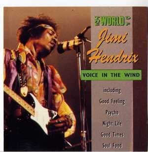 Voice In The Wind
