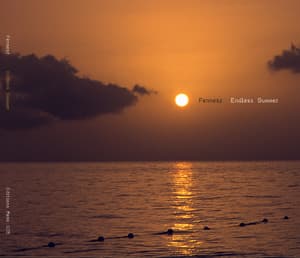 Endless Summer [remastered Reissue]