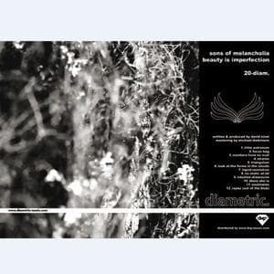 Beauty Is Imperfection