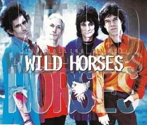 Wild Horses