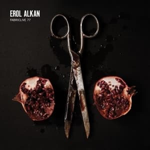 Maurice & Charles - Fabriclive 77: Erol Alkan