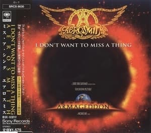 I Don't Want To Miss A Thing