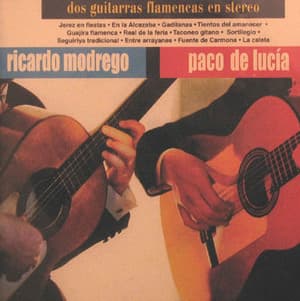 Dos Guitarras Flamencas En Stereo