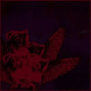 Disperazione In Musica