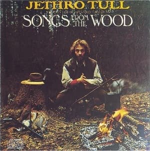 Songs From The Wood