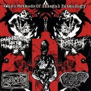 4 Ways Methods Of Illegal Pathology