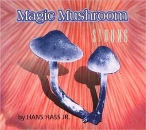 Magic Mushroom