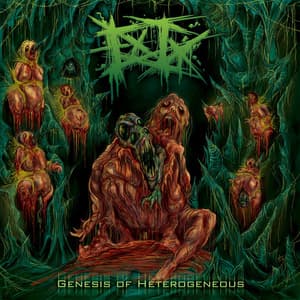 Genesis Of Heterogeneous