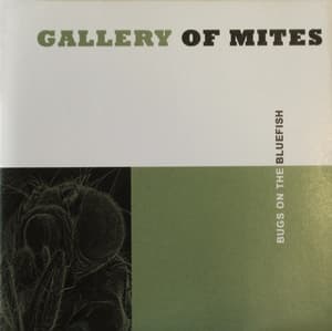 Bugs On The Bluefish