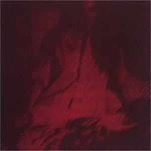 Night Of The Bloody Tapes