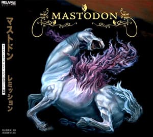 Remission (2005 Japanese Edition)