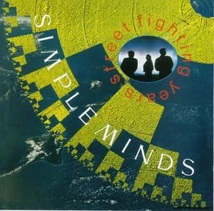 Street Fighting Years