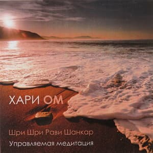 Hari Om Meditation