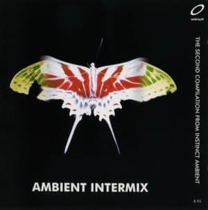 Ambient Intermix (2CD)