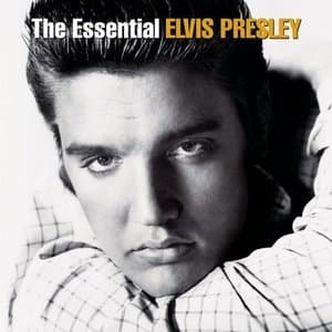 Elvis - 28 Essential Greats (2CD)