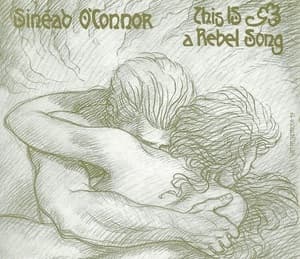 This Is A Rebel Song