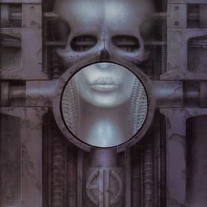 Brain Salad Surgery