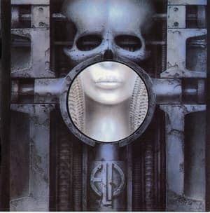 Brain Salad Surgery