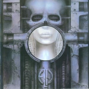 Brain Salad Surgery