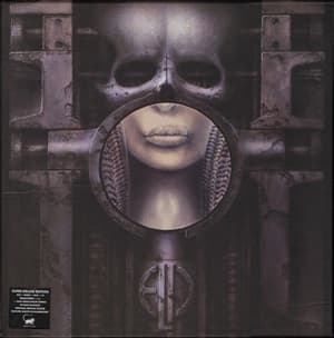 Brain Salad Surgery
