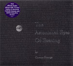 The Astonished Eyes Of Evening