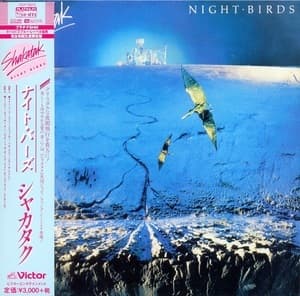 Night Birds