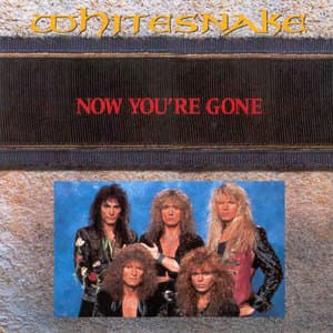Now You're Gone [CDS]
