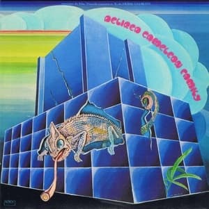 Delired Cameleon Family