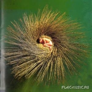 Ovo [vjcp-68231] japan