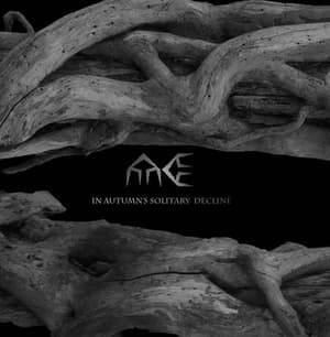 In Autumn's Solitary Decline