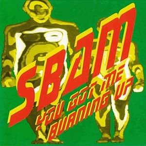 You Got Me Burning Up (CDM)