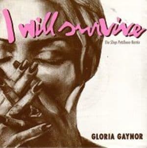 I Will Survive (the Shep Pettibone Remixes)