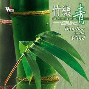 Bamboo Dreams