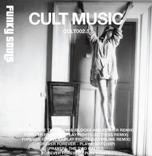 The Two Halves / Play Fights Remixes [CDS]