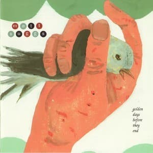 Golden Days Before They End