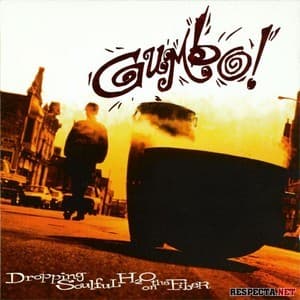 Dropping Soulful H2o On The Fiber