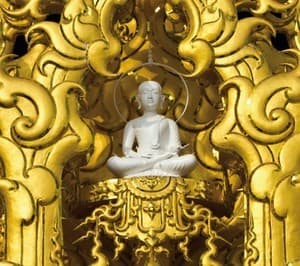 Catharsis (remastered)