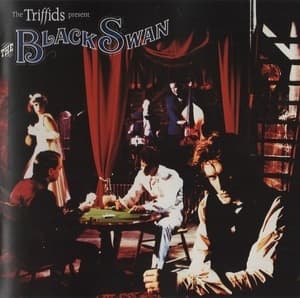 The Triffids Present The Black Swan