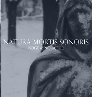Natura Mortis Sonoris
