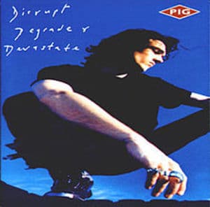 Disrupt Degrade & Devastate