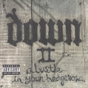 II - A Bustle In Your Hedgerow