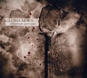 Lifestream Corrosion