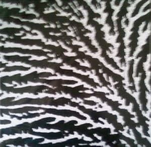 Cover The Windows And The Walls